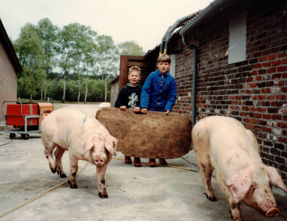 Jeugdfoto van Dirk en zijn broer samen met varkens